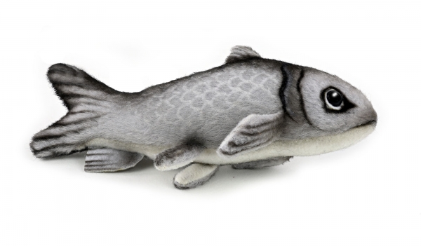 kleiner Hering (Sprotte) ca. 12 cm